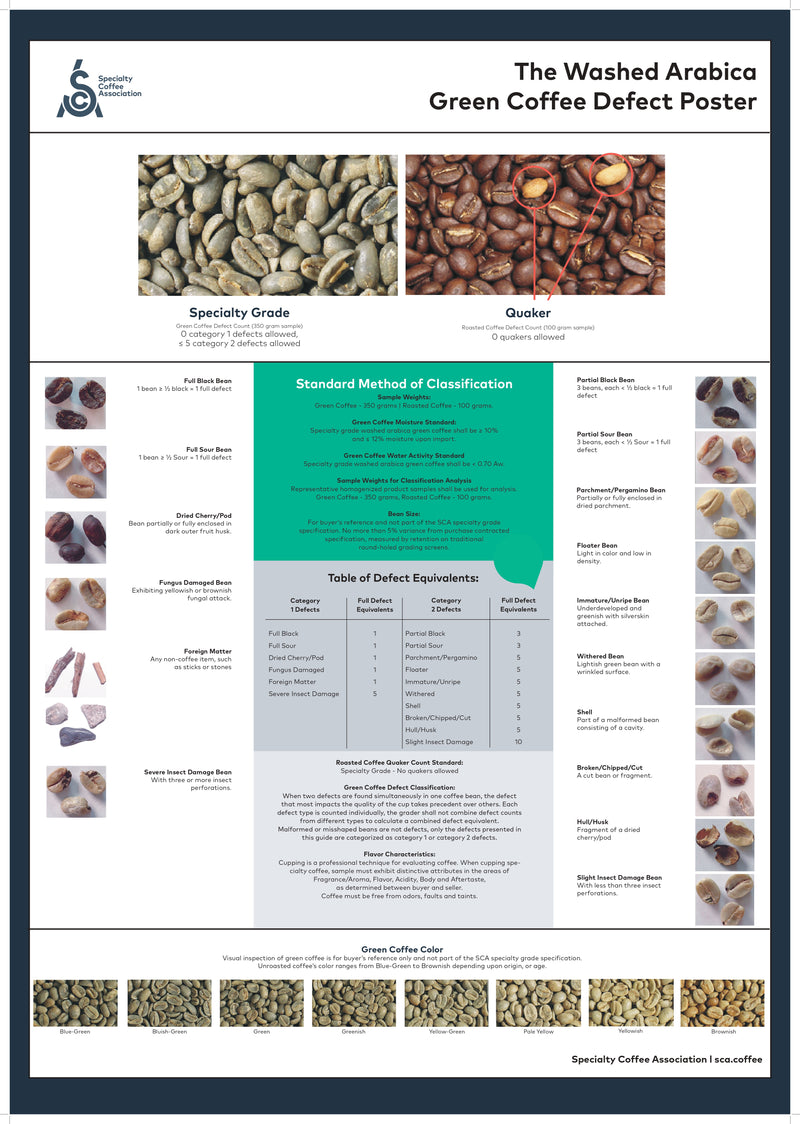 GREEN COFFEE DEFECT POSTER-SCA